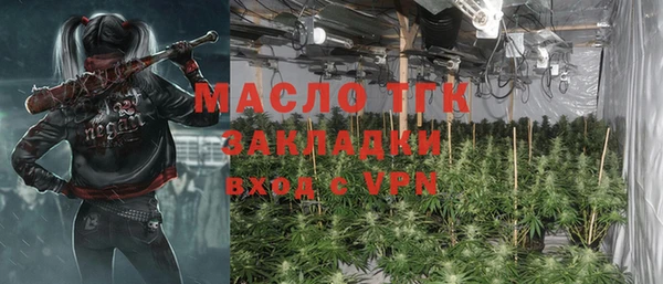 хмурый Арсеньев