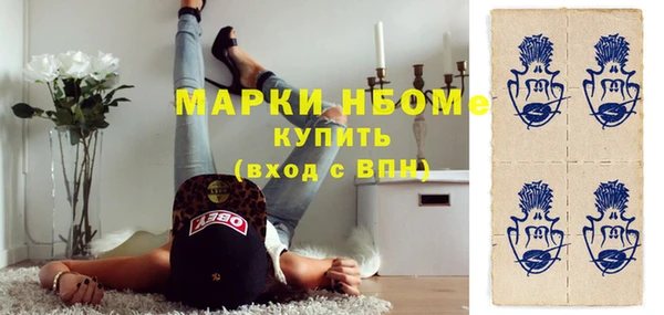 хмурый Арсеньев