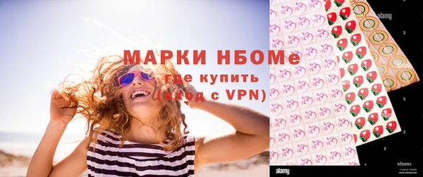 хмурый Арсеньев